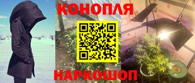 кокс Аргун