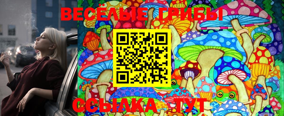 Гашиш  Кокаин  Меф МЯУ МЯУ   Alpha-PVP СК кристаллы  Гашиш  Артём  МЕФ   Канабис 