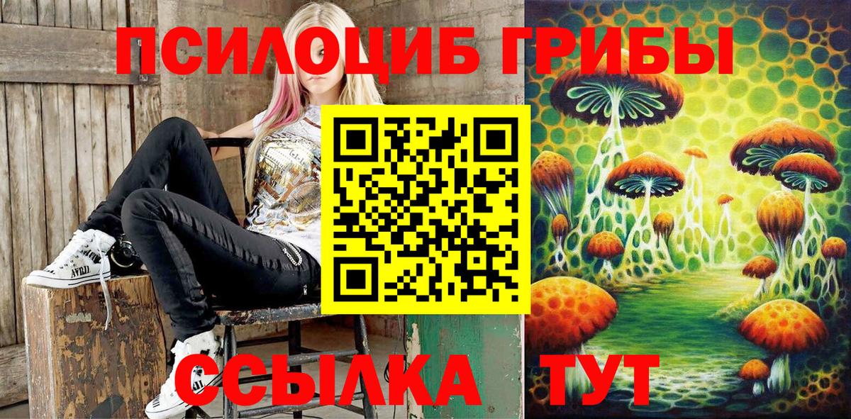 Псилоцибиновые грибы MAGIC MUSHROOMS  Вход с VPN  Артём  Псилоцибиновые грибы прущие грибы 