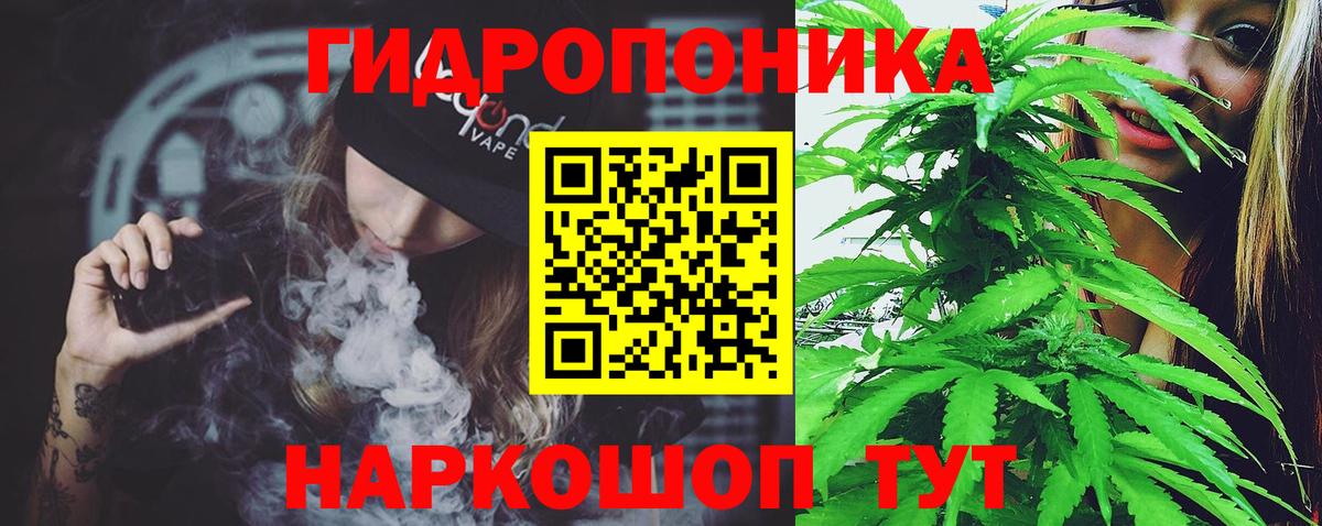 Бошки Шишки сатива  Каннабис White Widow  Артём  Бошки марихуана планчик 